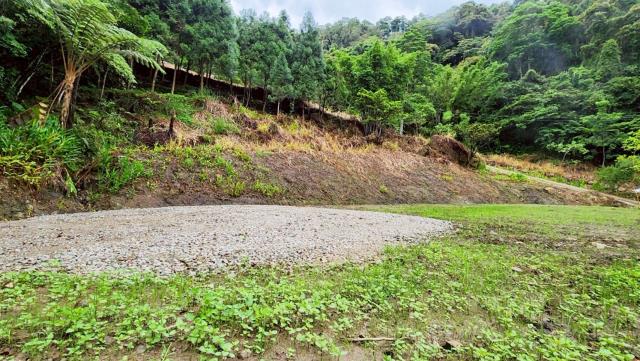 新竹竹東農地-9