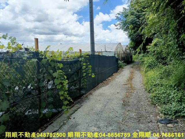 大村農地-7