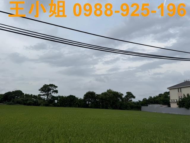 中壢農地-1