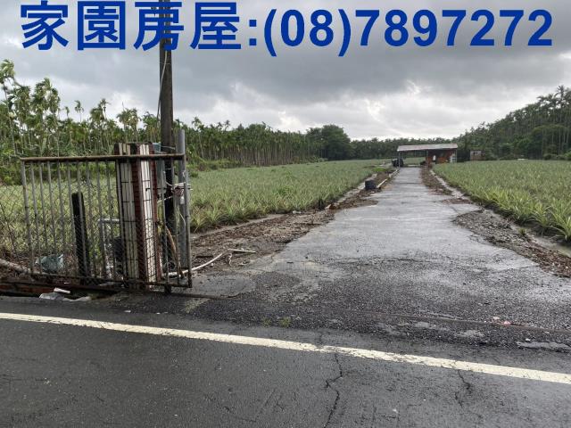 屏東農地-2