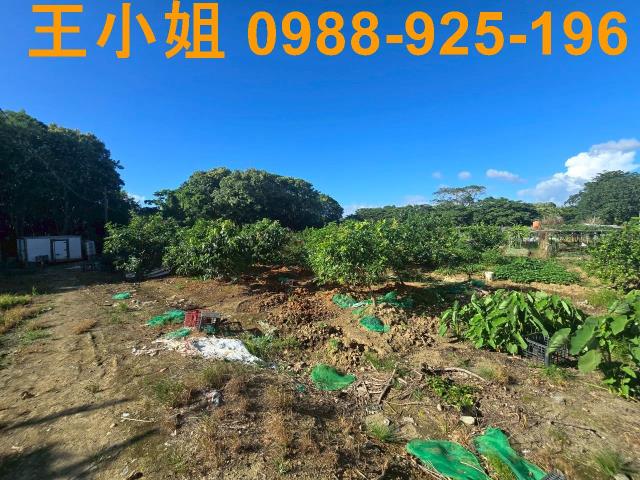 八德農地-4