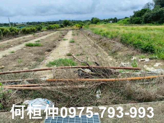 後龍農地-1