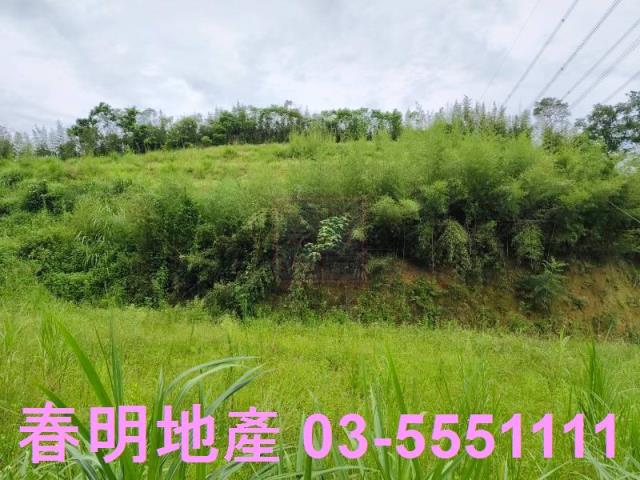 新竹峨眉農地-11
