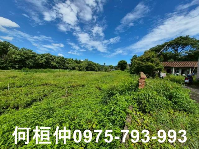 銅鑼農地-5