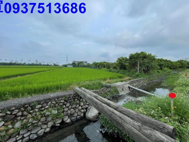 員山農地-7