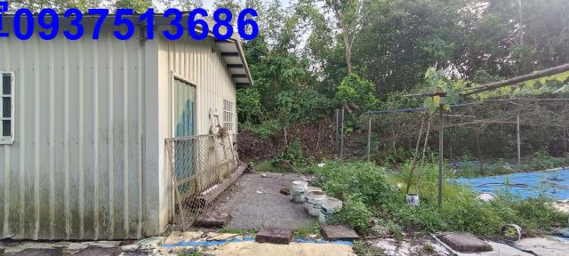 員山農地-6