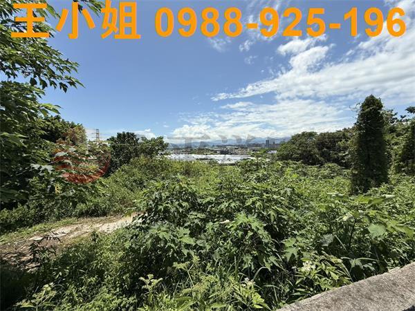 桃園八德農地-3
