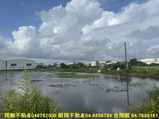 秀水農地-2