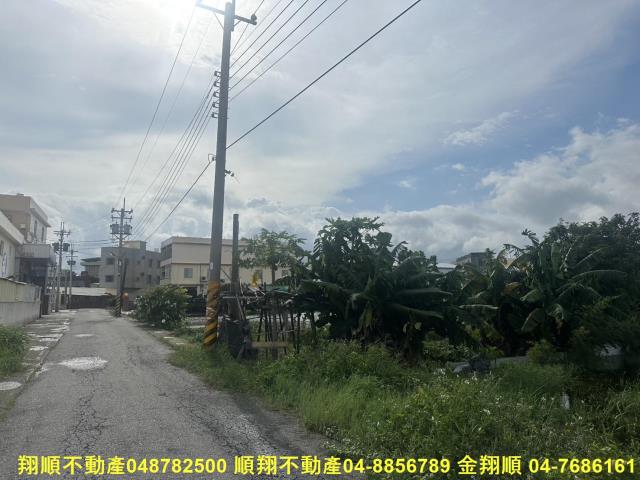 秀水農地-3