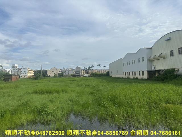 秀水農地-5