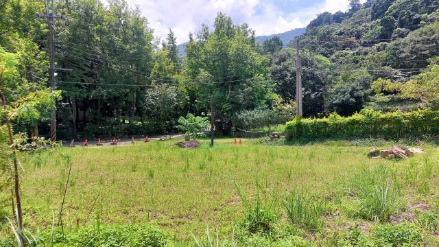 橫山農地-13