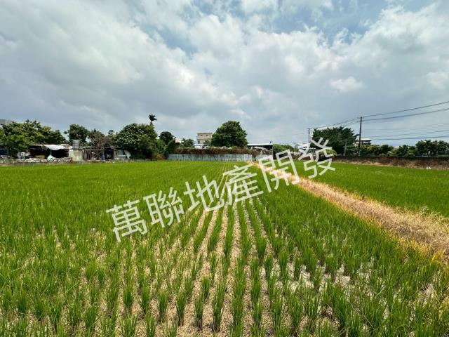 潭子農地-10