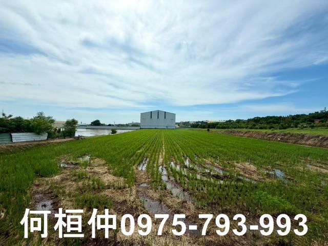 苗栗竹南農地-1