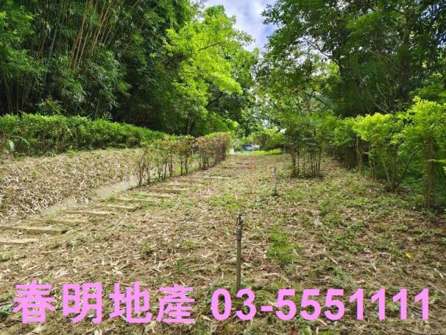 寶山農地-4