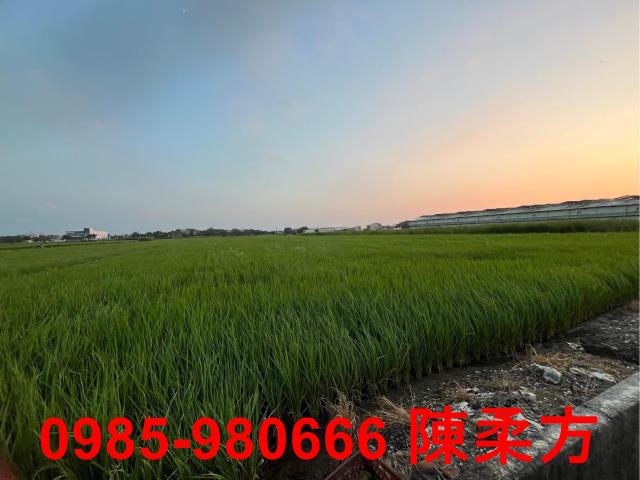 鹿草農地-9