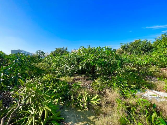 岡山農地-1