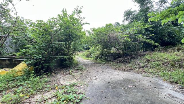 高雄燕巢農地-1