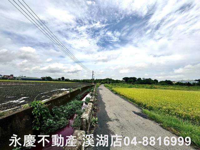 埔心農地-13