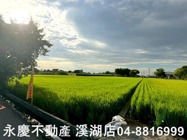 埔鹽農地-10
