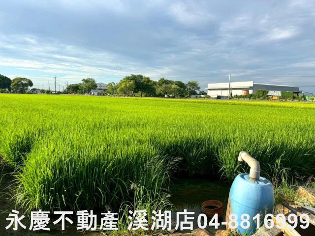 埔鹽農地-2