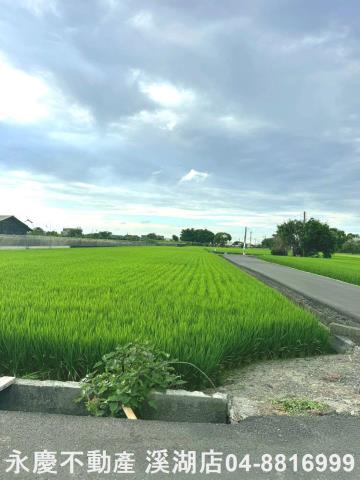 埔鹽農地-4