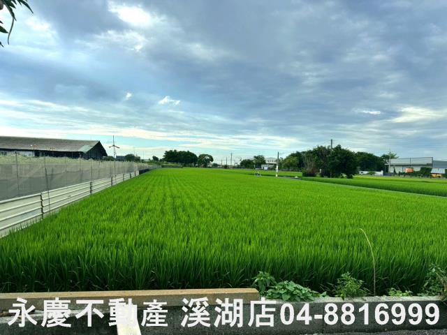 埔鹽農地-9