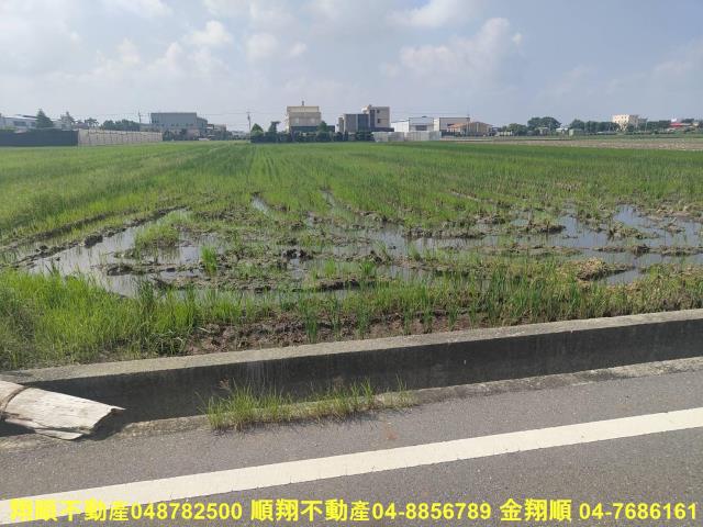 埔鹽農地-11