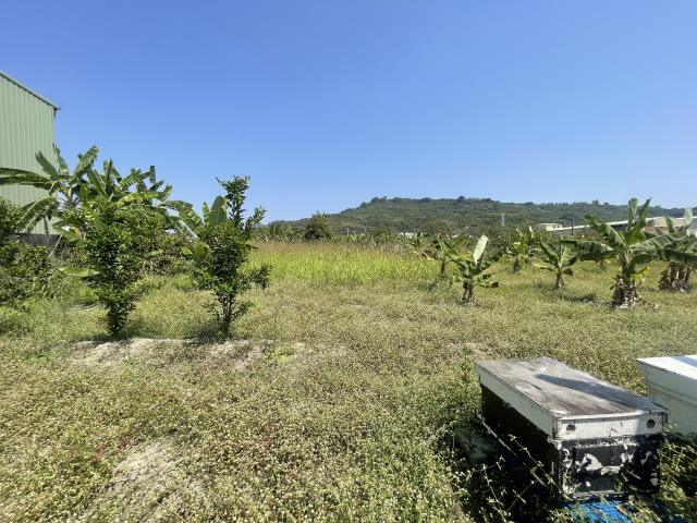 岡山農地-10