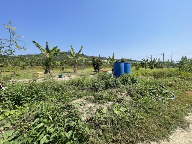 岡山農地-11
