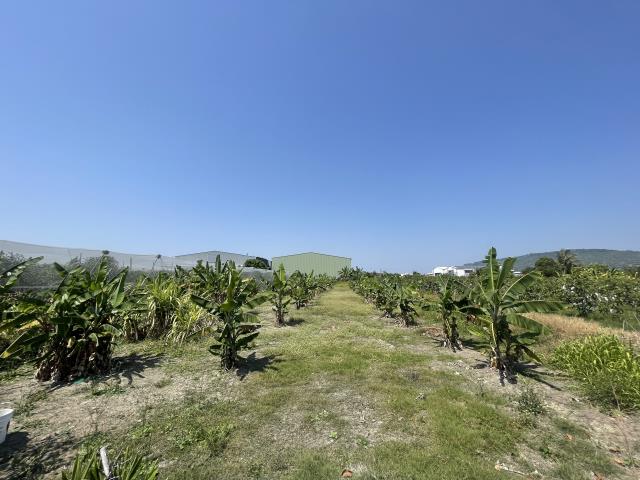 岡山農地-2