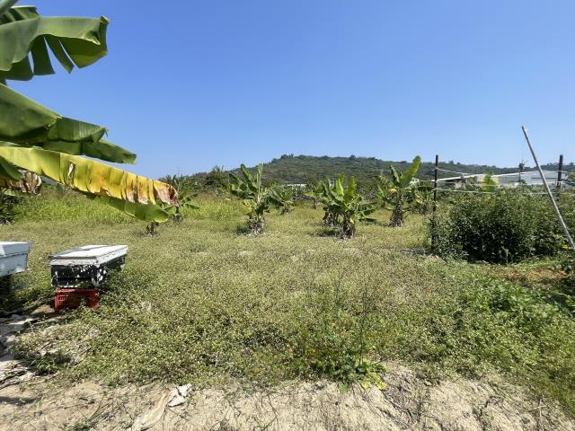 岡山農地-7