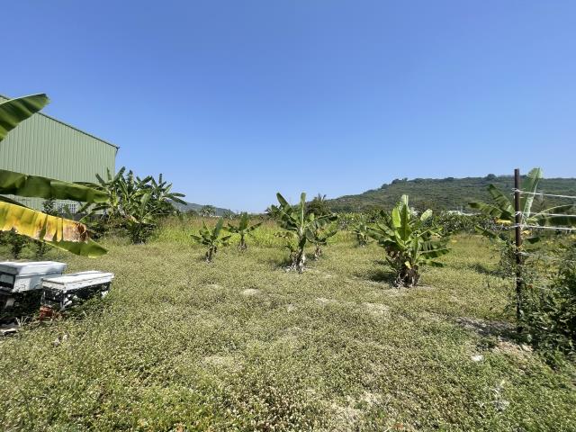 岡山農地-9