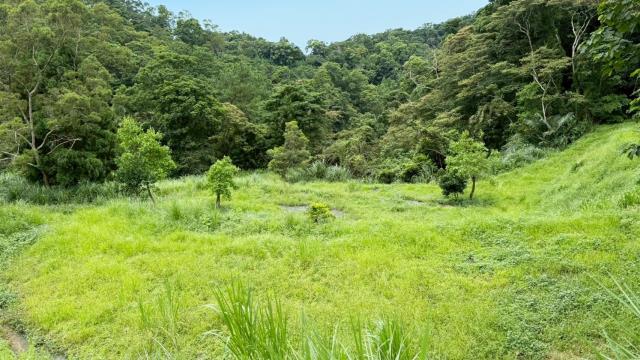 苗栗南庄農地-13