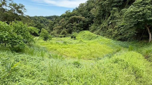 苗栗南庄農地-9