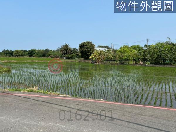 新竹北區農地-2