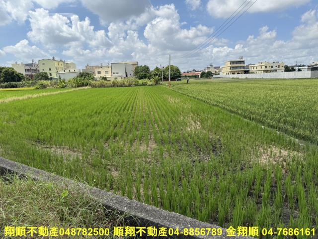 彰化農地-5