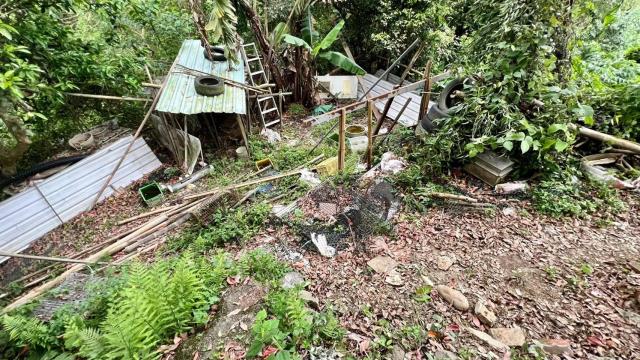 新竹竹東農地-14