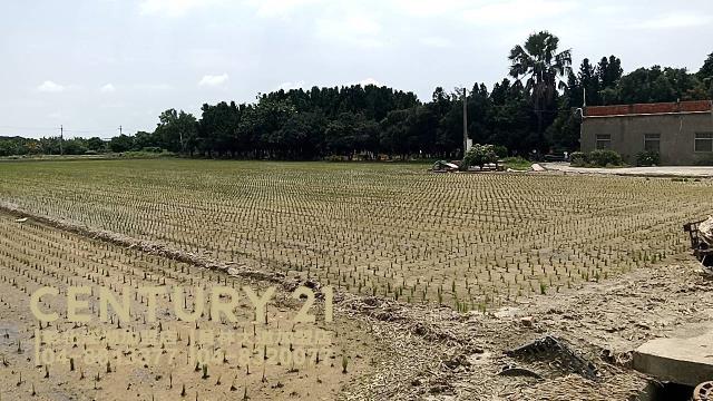 彰化埔鹽農地-2