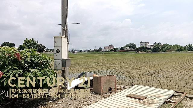 彰化埔鹽農地-4
