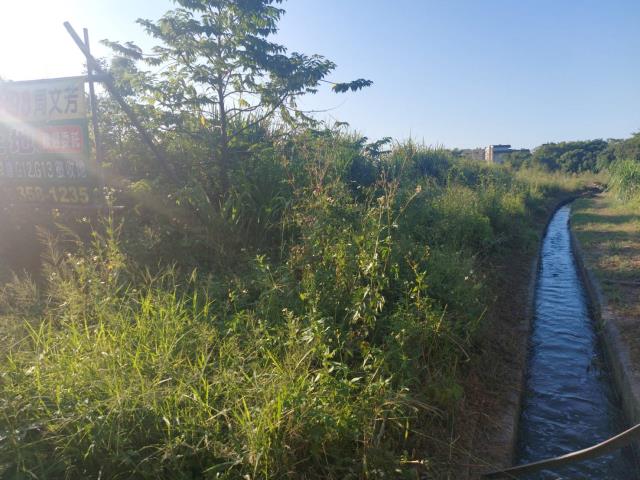 桃園桃園區農地-5
