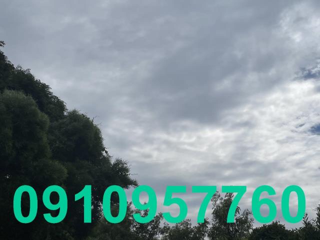 桃園新屋農地-3