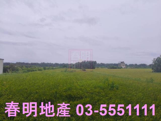 新竹農地-6