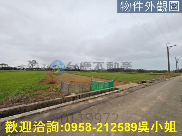 新竹新豐農地-10