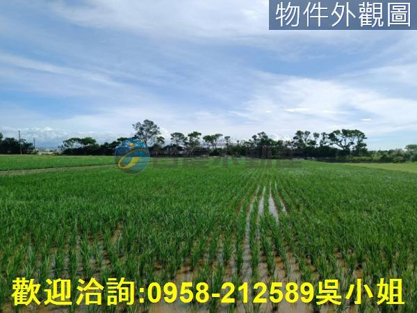 新竹新豐農地-3