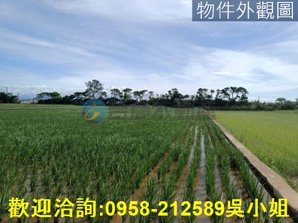 新竹新豐農地-4