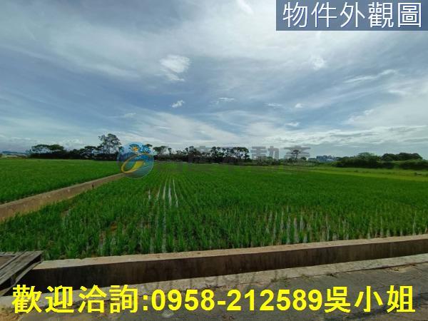 新竹新豐農地-5