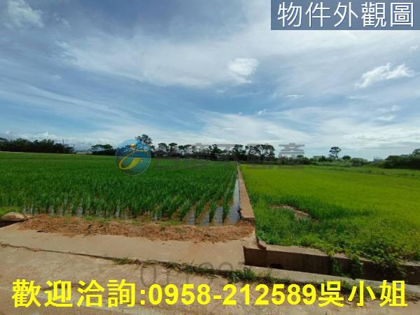 新竹新豐農地-6