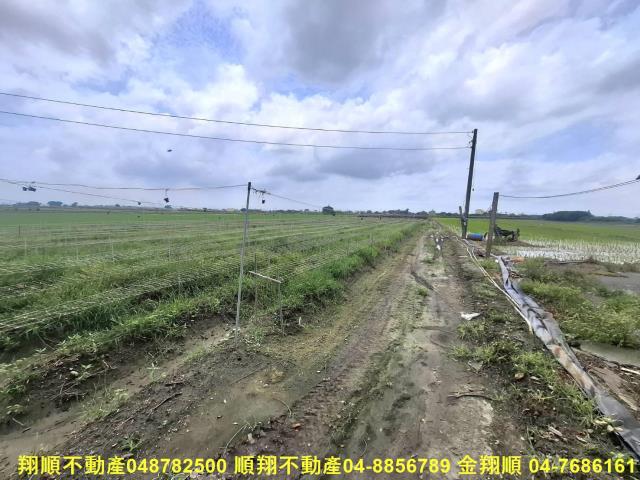竹塘農地-3