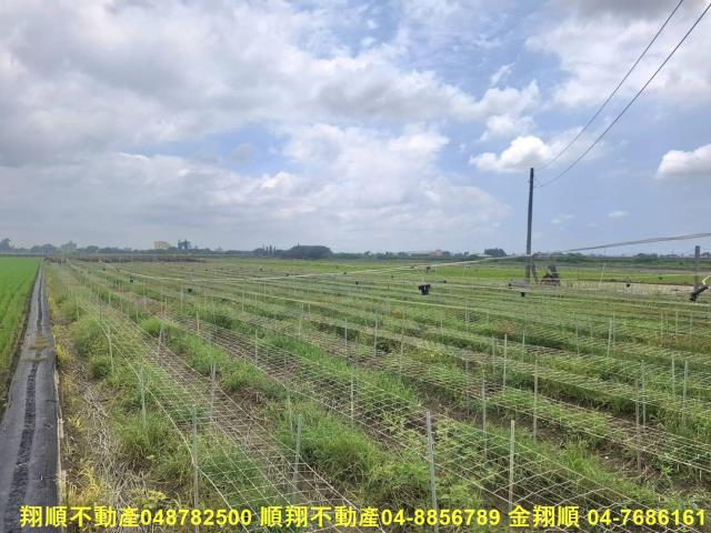 竹塘農地-6