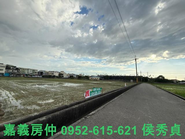 嘉義農地-5